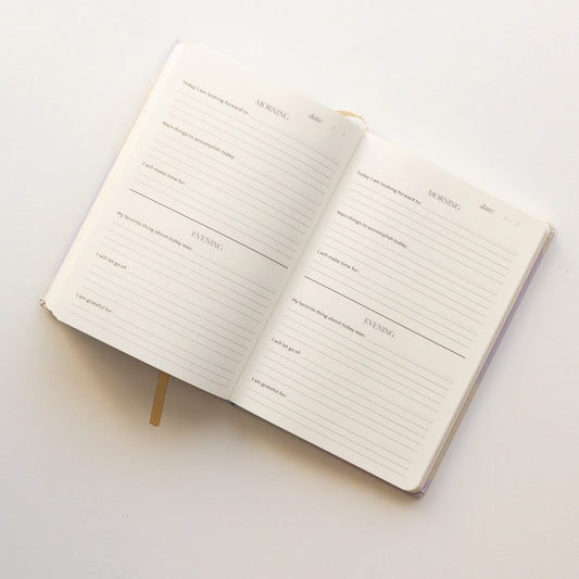 Example of prompts, such as a morning and evening journal for each day.