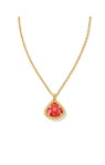 A best-selling favorite from Fall 2022 is making its return, now with a gorgeous textured frame and faceted stone. With its unique pear shape and ornate design details, the Framed Kendall Gold Short Pendant Necklace in Bronze Veined Red and Fuschia Magnesite will add a touch of romance to your summer looks. Dimensions: 19' CHAIN , 0.63'L X 0.77"W PENDANT GOLD BRONZE