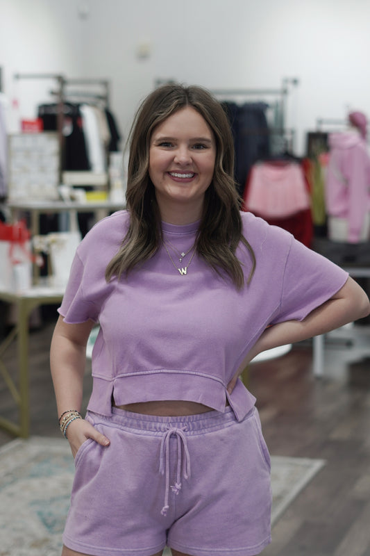 Short Sleeve Top, Round Neckline, Skimmer Length, Purple Color