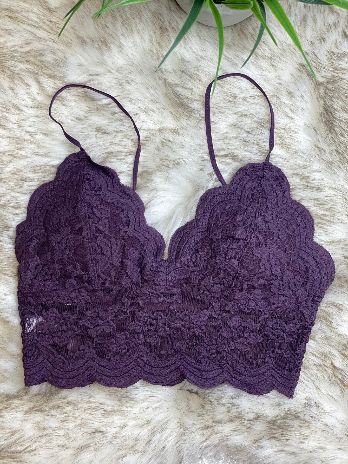 Juliette Scalloped Lace Bralette