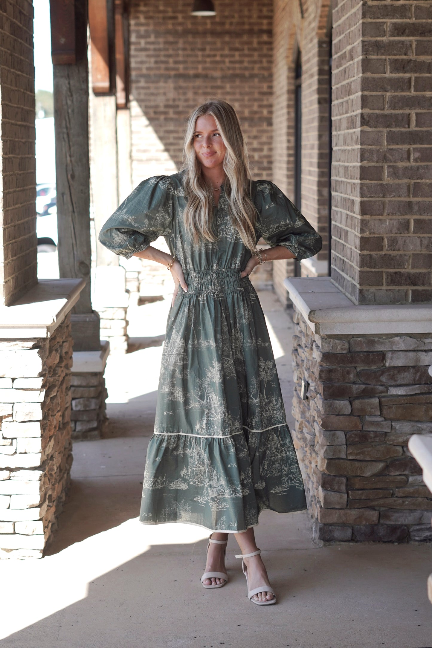 Timeless Toile Print Dress