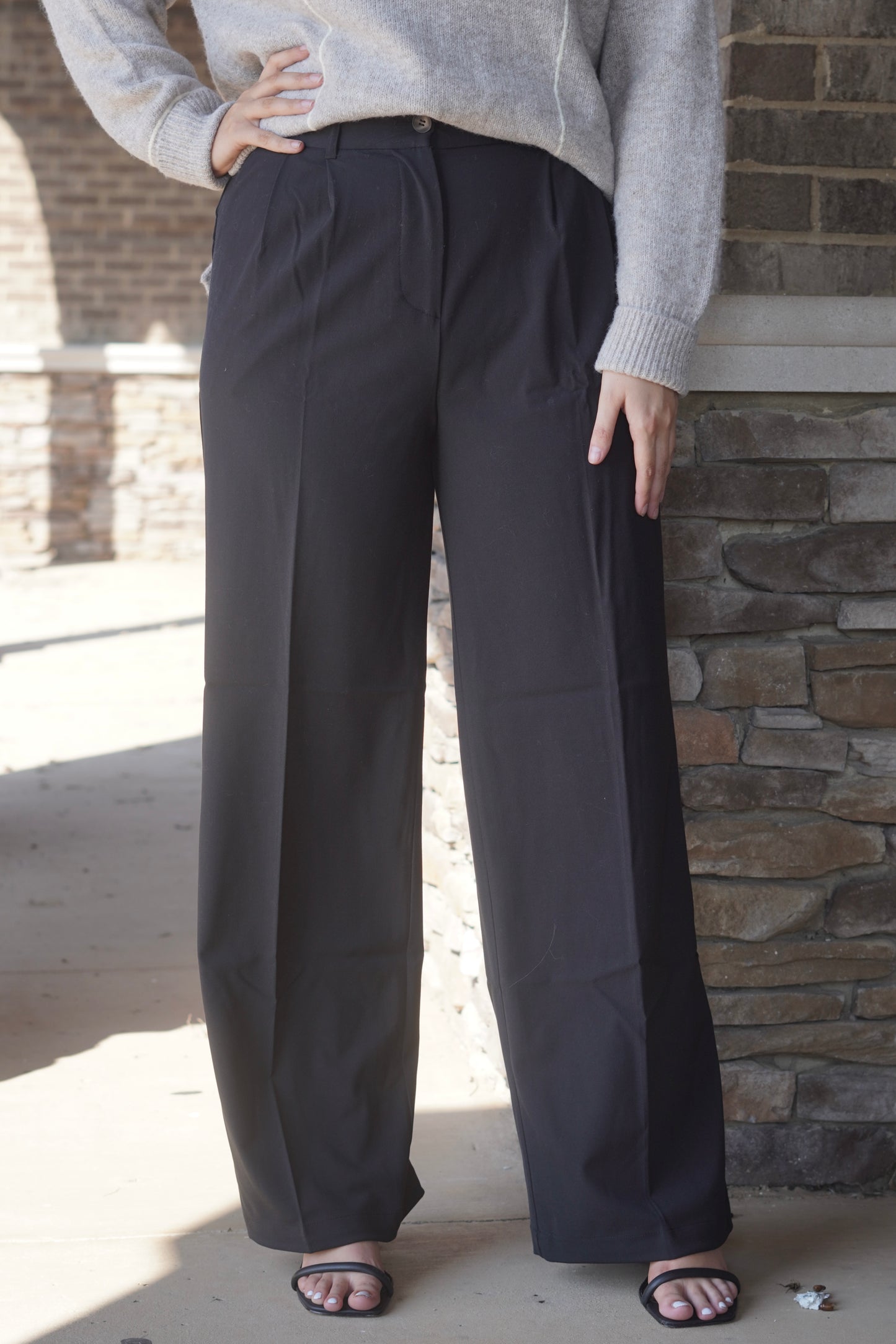 Willow Wide Leg Dress Pant