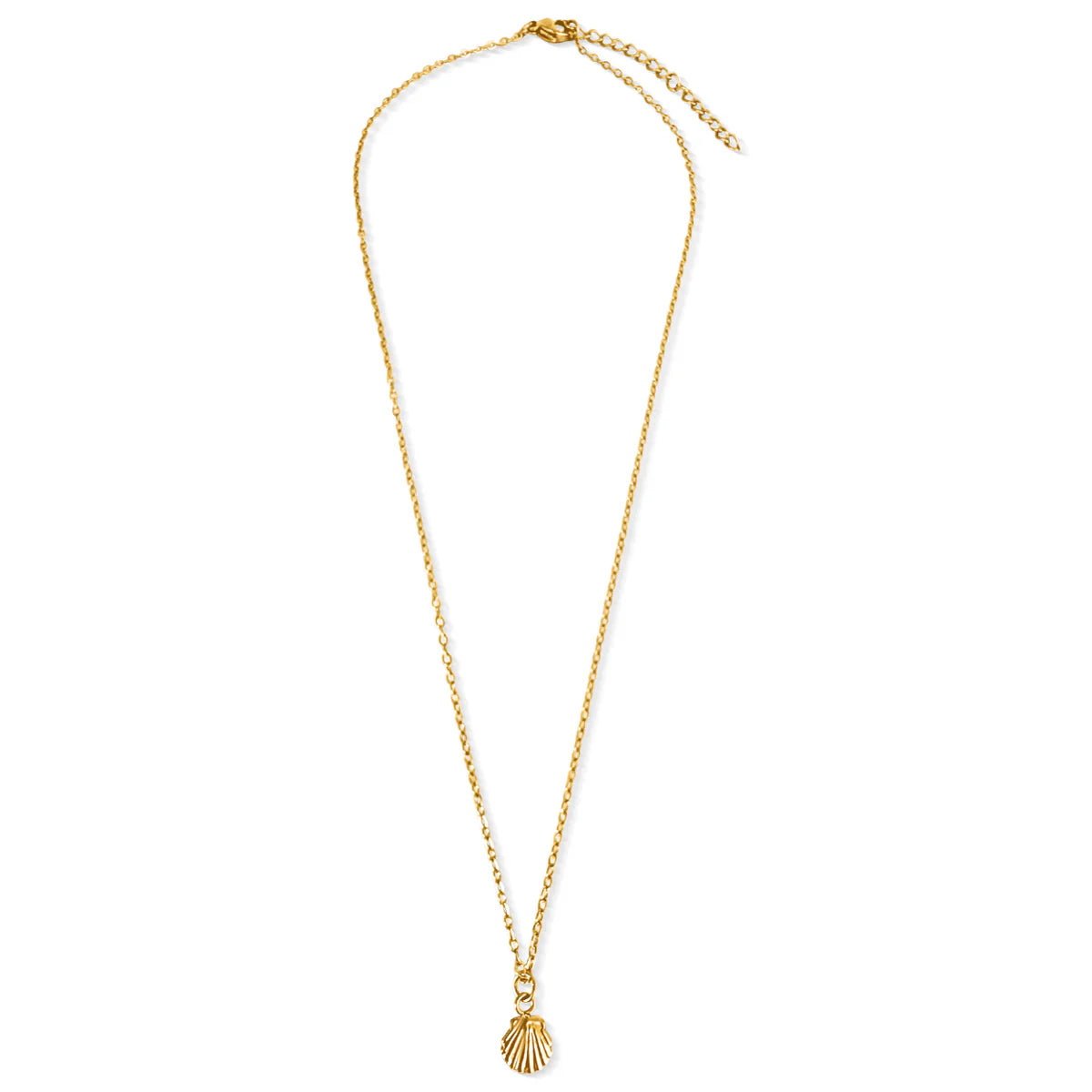 gold necklace with mini gold shell charm