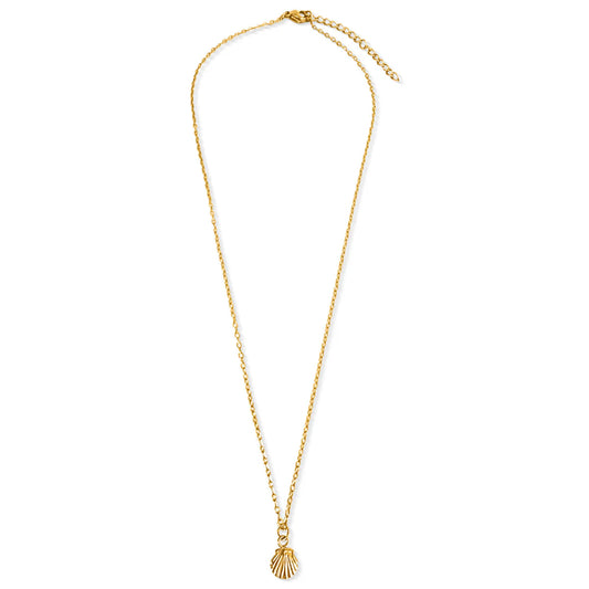 gold necklace with mini gold shell charm