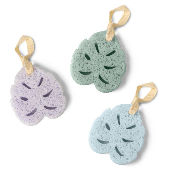 Reusable, high-exfoliant sponge pre-packed with body wash
Moisturizing shea butter formula
Free from parabens sulfates
Vegan  cruelty-free
Handy hanging loop for easy drying