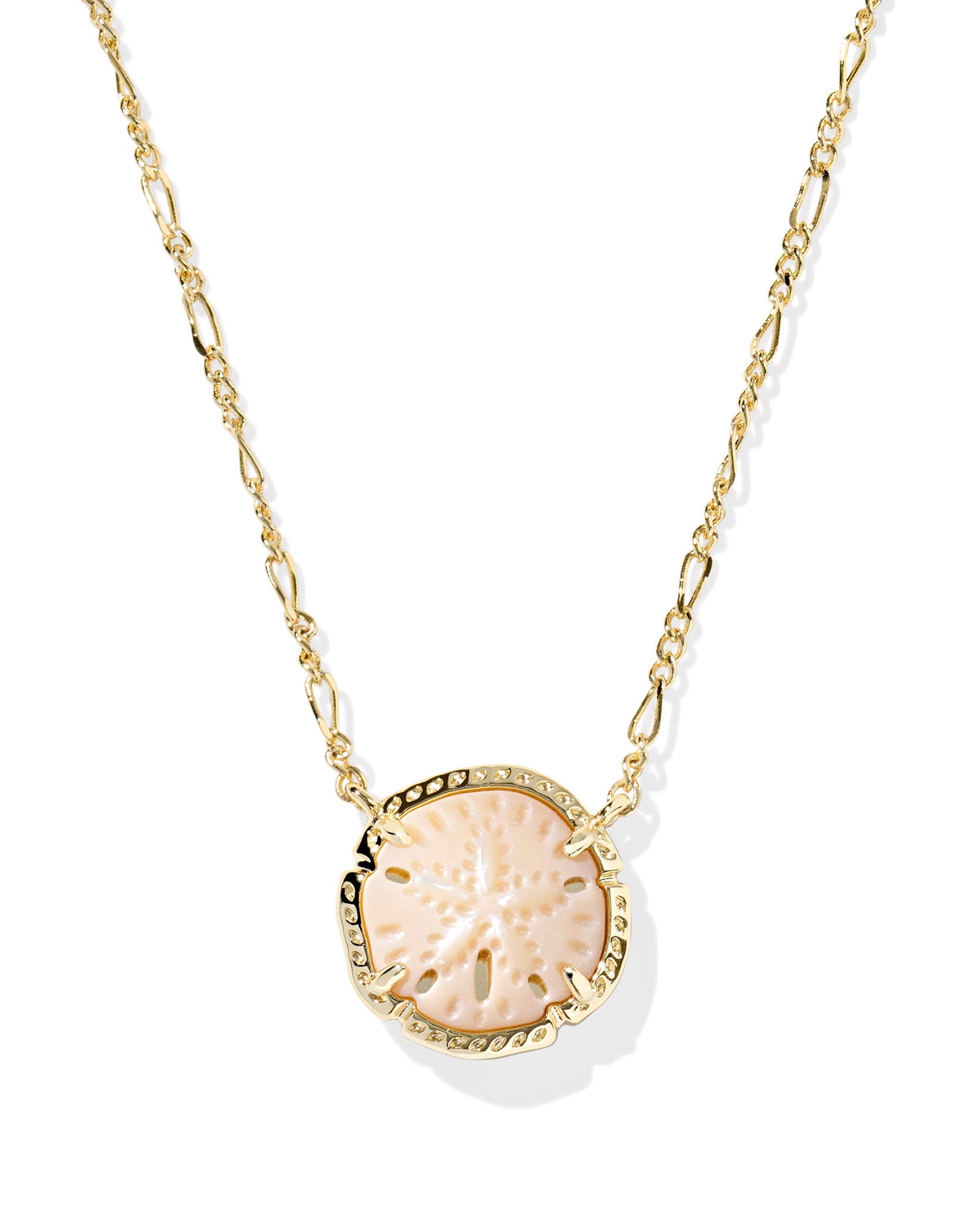 Sand dollar pendant on gold necklace. Sand dollar is light tan with small details that look and feel like a sand dollar. 