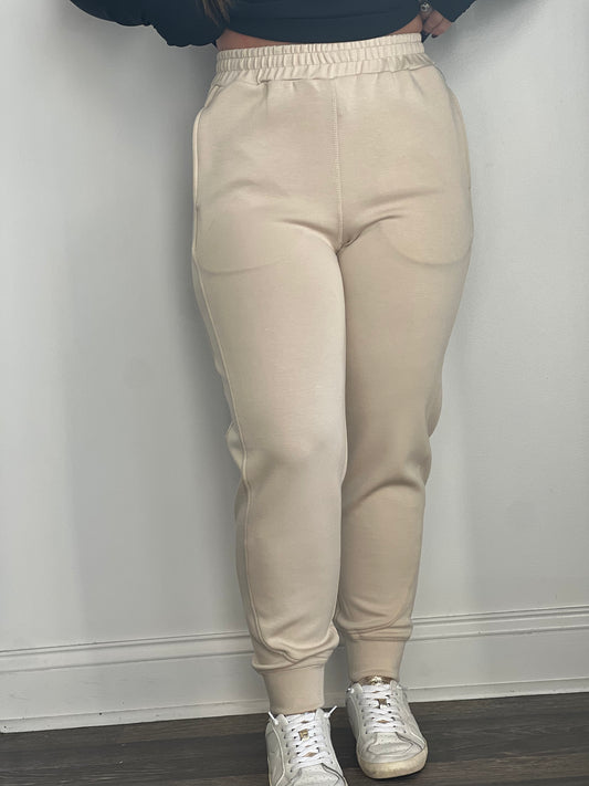 LeeAnn Seam Joggers