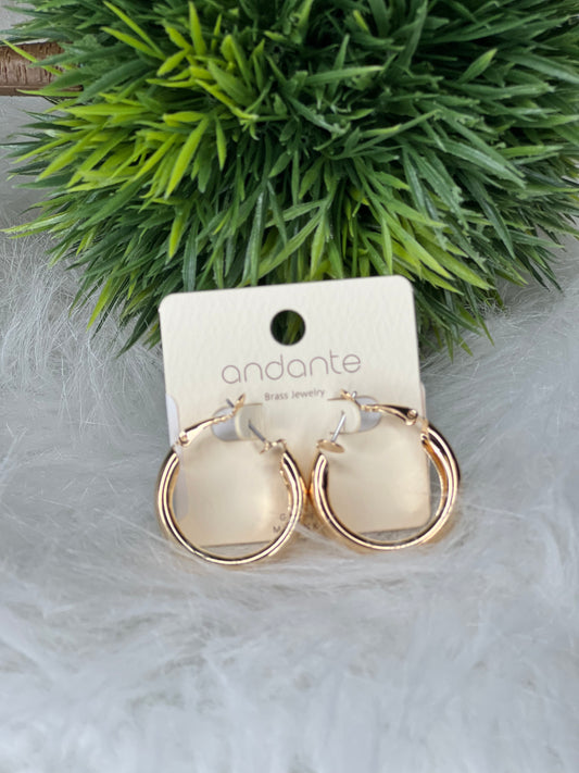 Inner Curved Brass Hoops